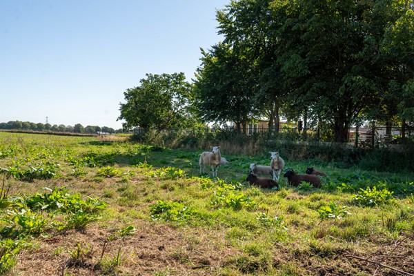 202508 Deckerstraat 12 Leveroij (42).jpg